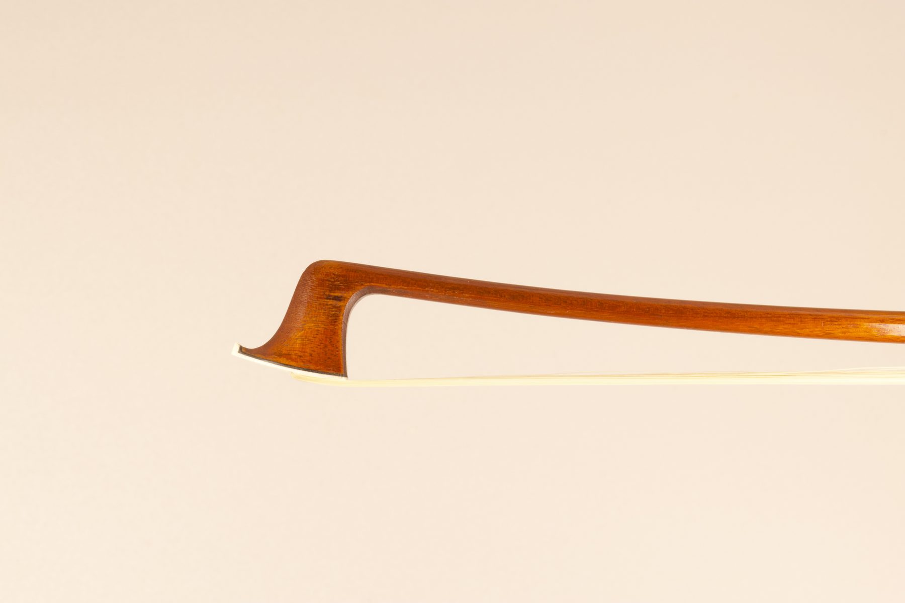 Louis Morizot — Head