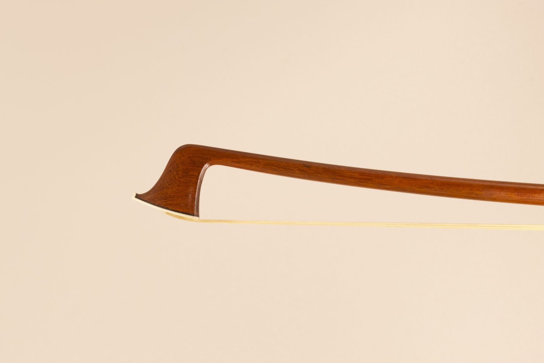 Nicholas Leonard Tourte School — Head