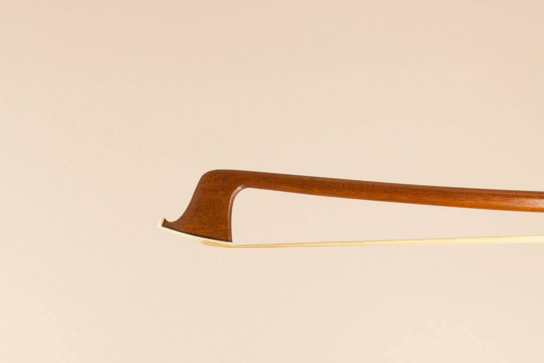 Nicholas Maline — Head