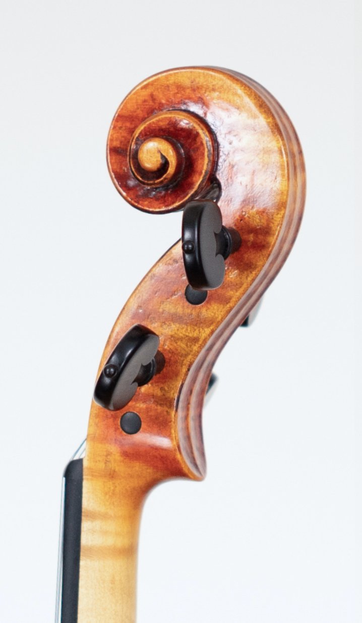 Stradivari Model 2025 — Scroll 3