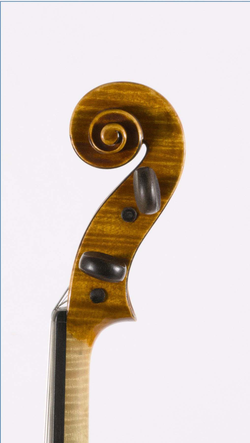 Joseph Anthony Chanot, 1899 — Scroll