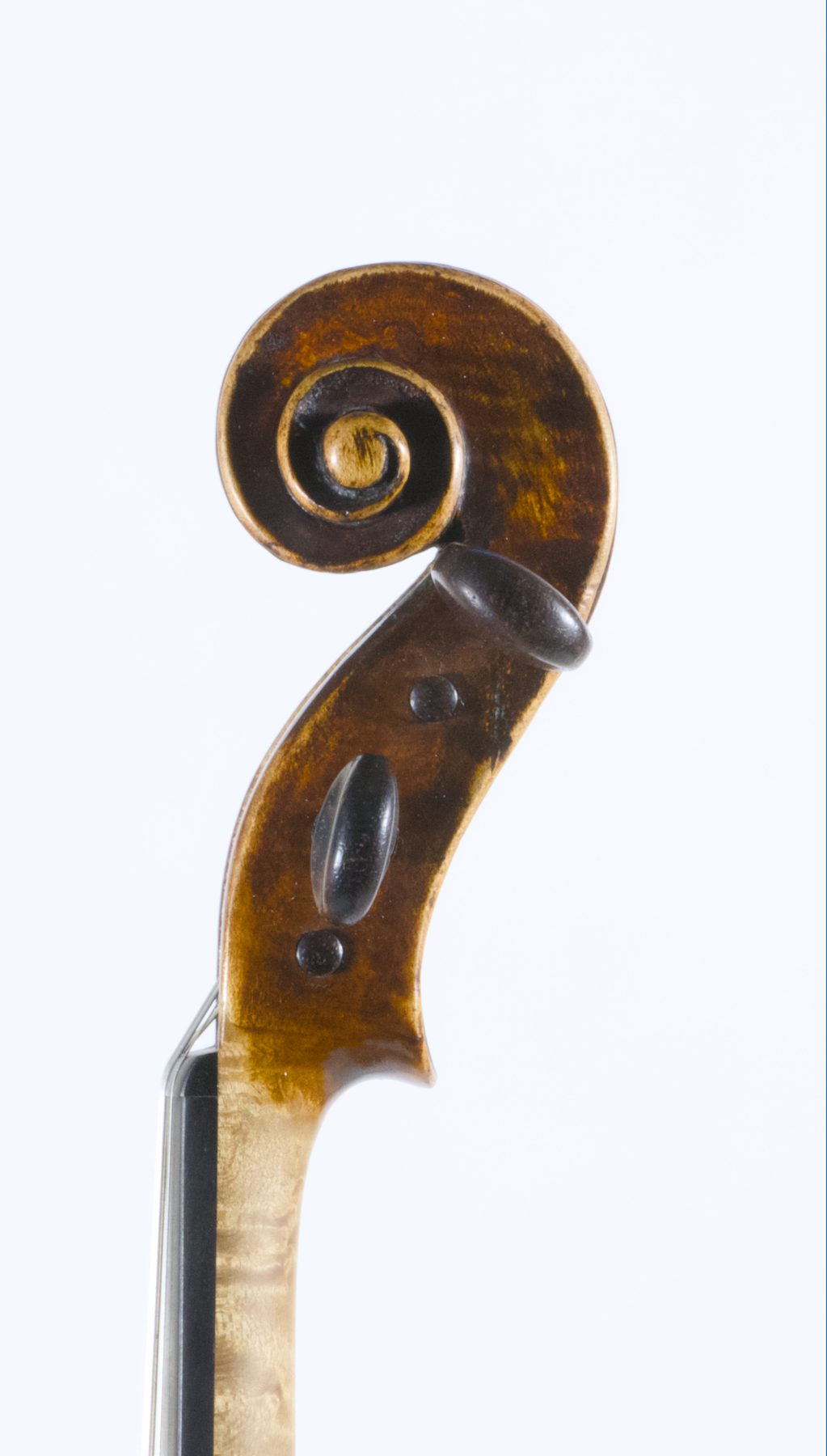 George Craske, Manchester 1860 — Scroll
