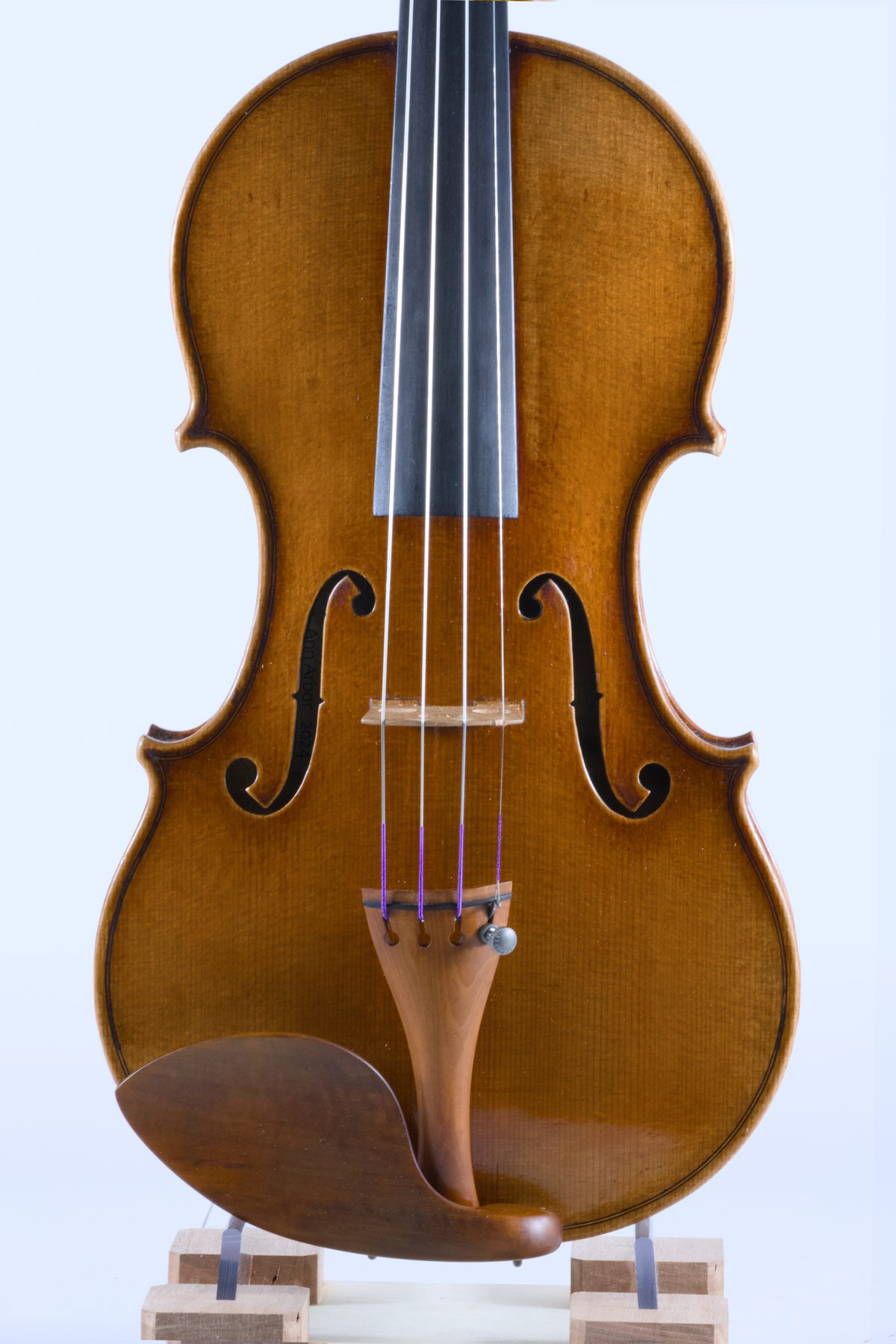 Joseph Curtin, Ann Arbor 2024 — Front