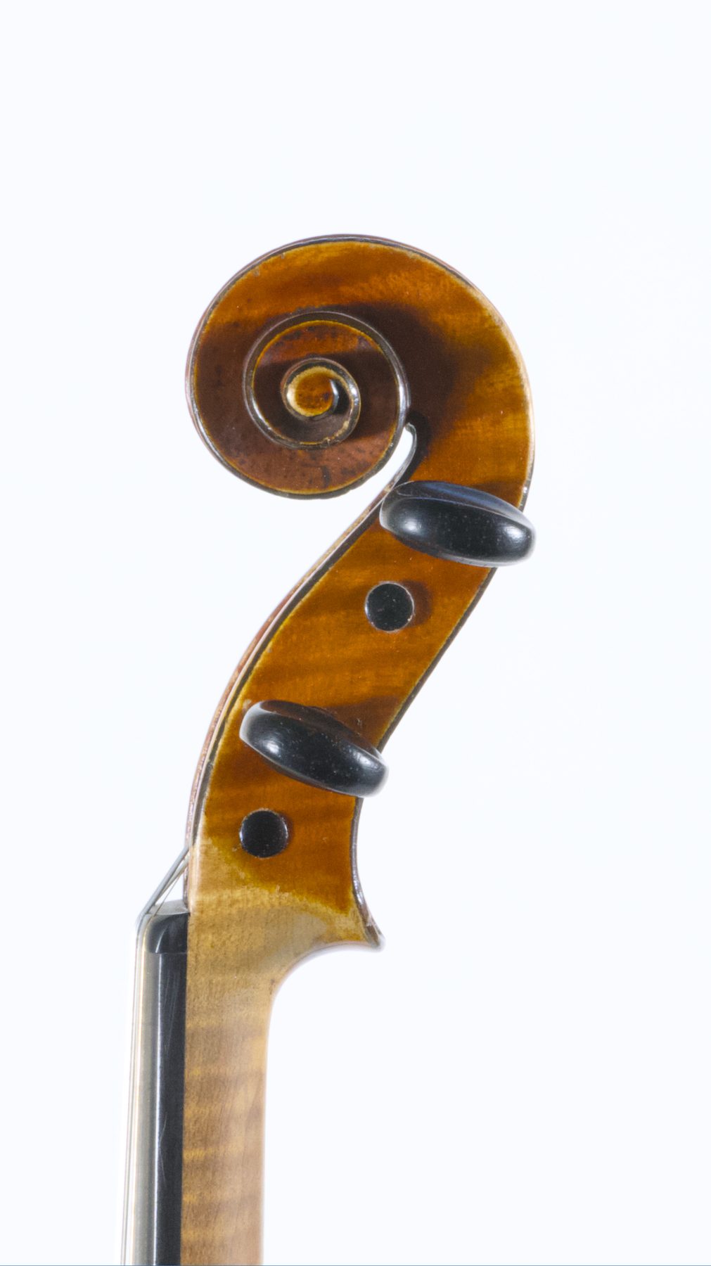 Derezay Père, Mirecourt 1895 — Scroll