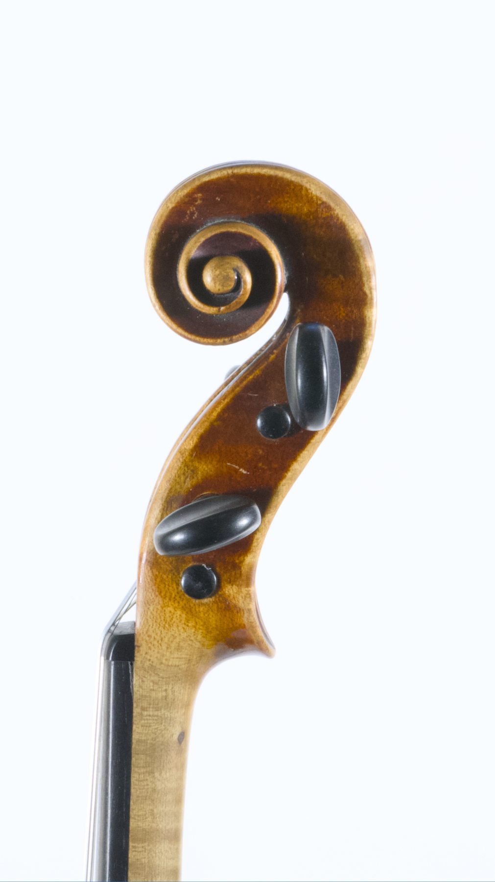 Franz Geissenhof, Vienna 1812 — Scroll