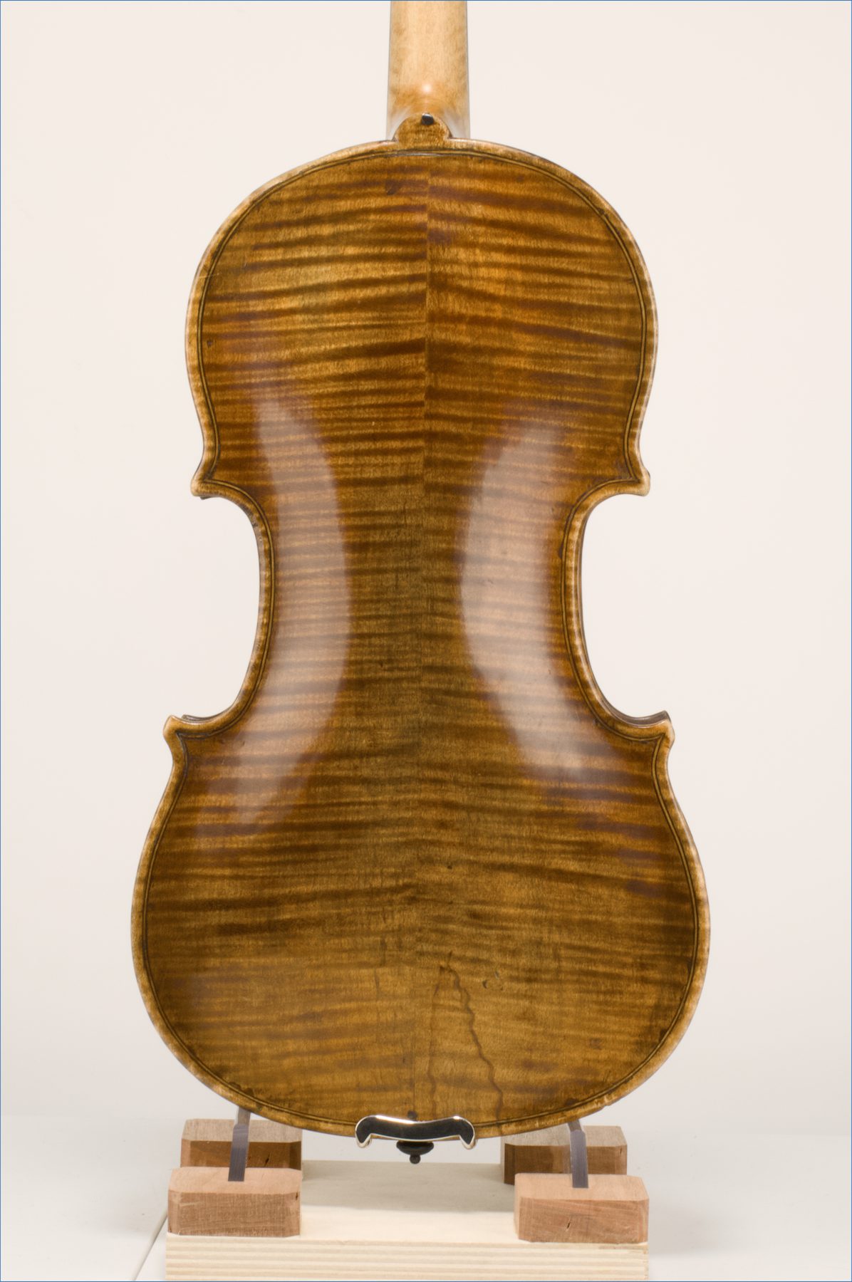 Vincenzo Postiglione, Naples 1900 — Back
