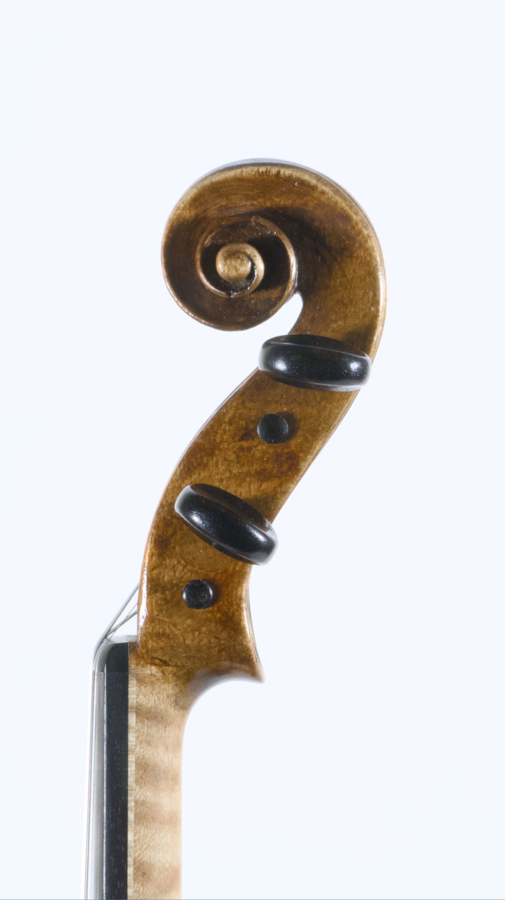 Vincenzo Postiglione, Naples 1900 — Scroll