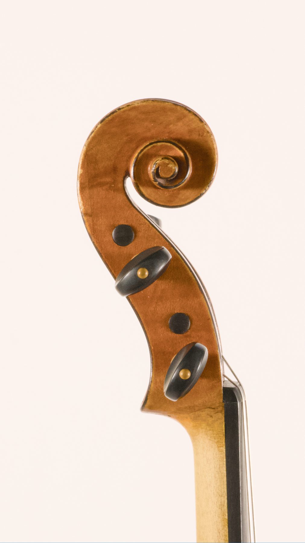 Gaetano Sgarabotto, Milan 1944 — Scroll