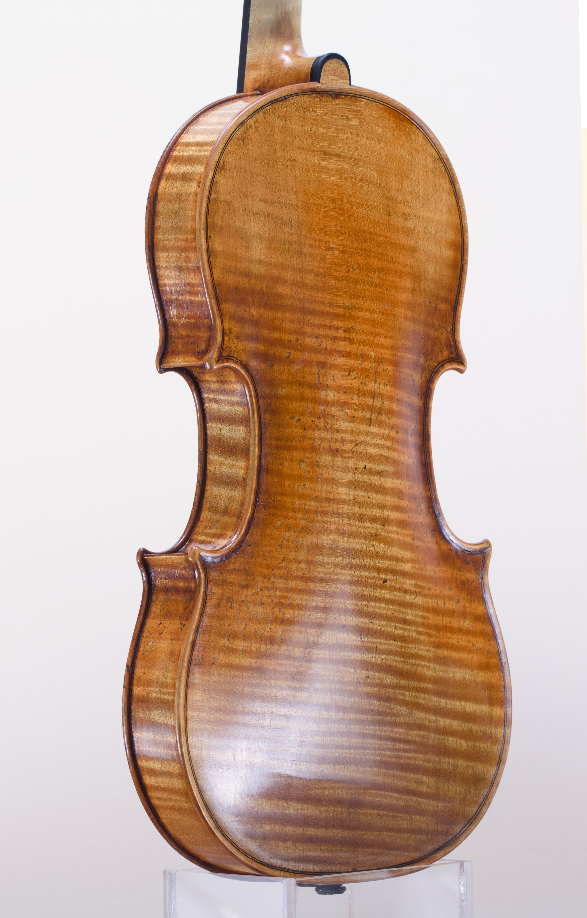Guarneri Del Gesù Model 2024 — Back