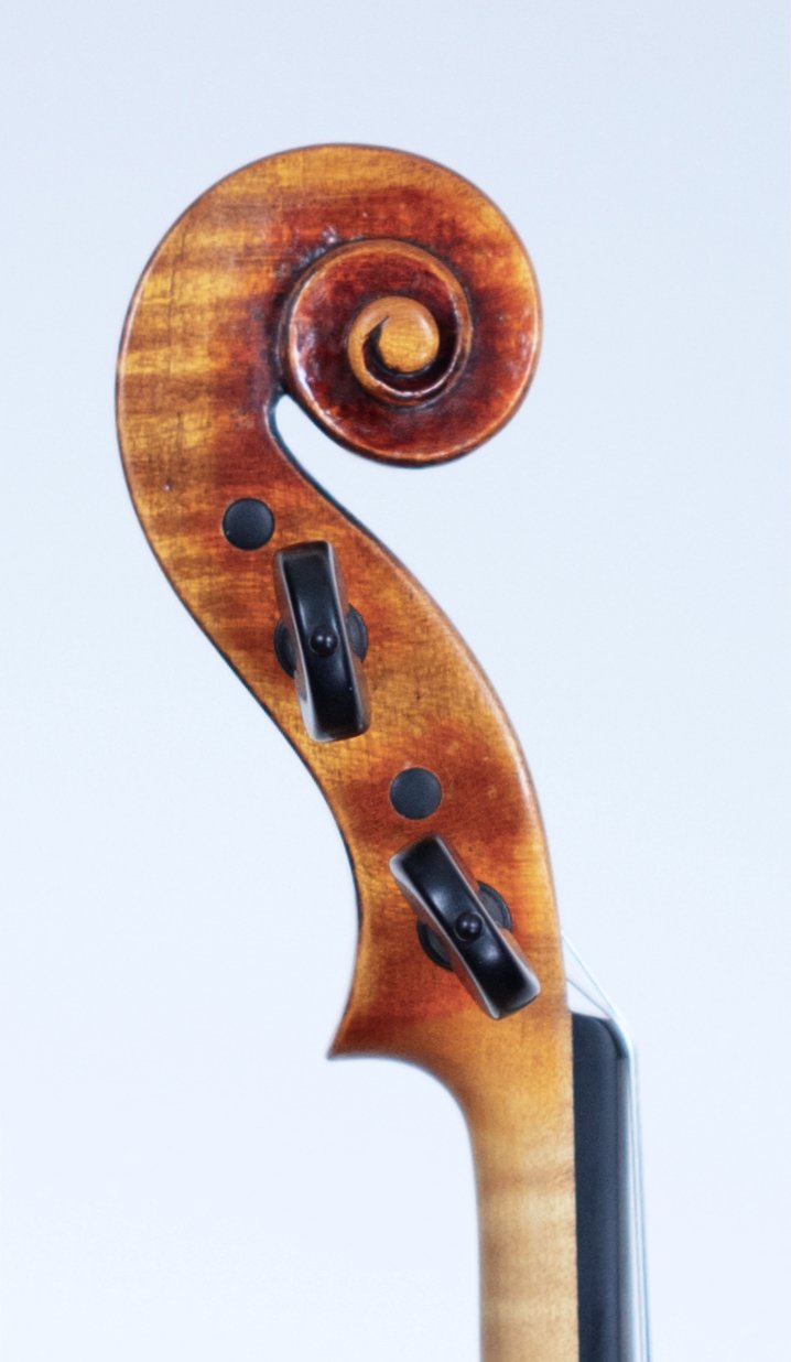 Stradivari Model 2025 — Scroll 6