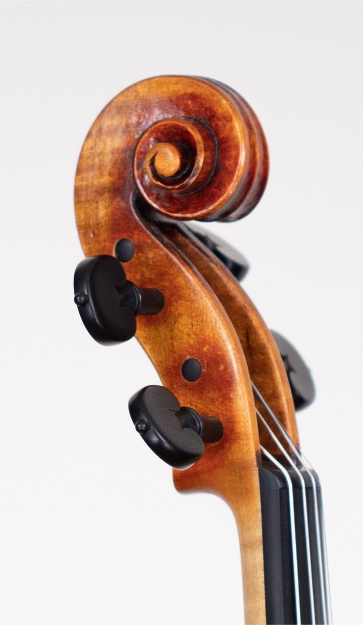 Stradivari Model 2025 — Scroll 7