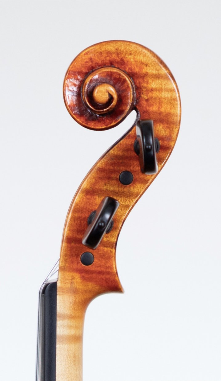 Stradivari Model 2025 — Scroll
