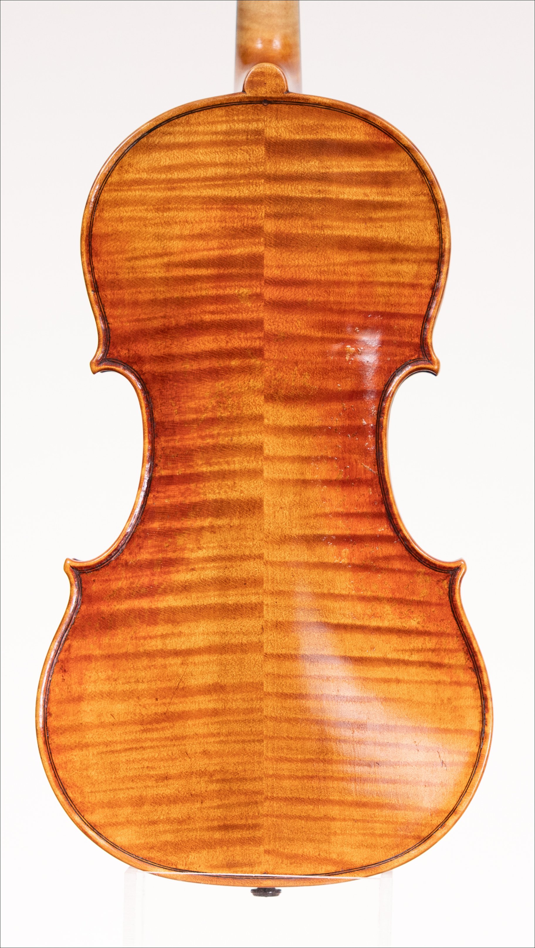 Stradivari Model 2025 — Back